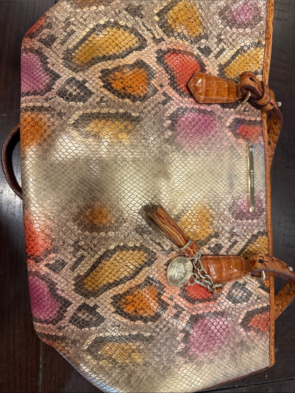 Brahmin Multicolor Snakeskin-Effect Tote with Brown Trim
